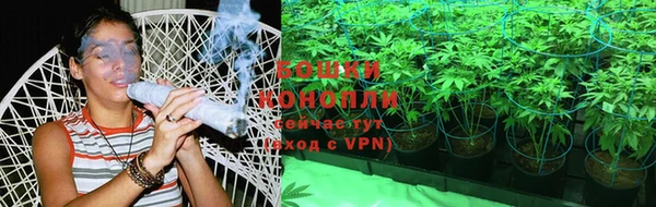 бошки Арсеньев